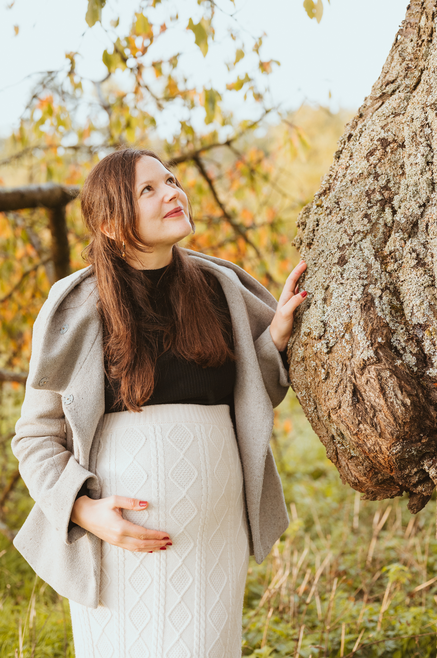 Babybauch Portrait im Herbstlicht am alten Apfelbaum – MALEA Fotografie Darmstadt