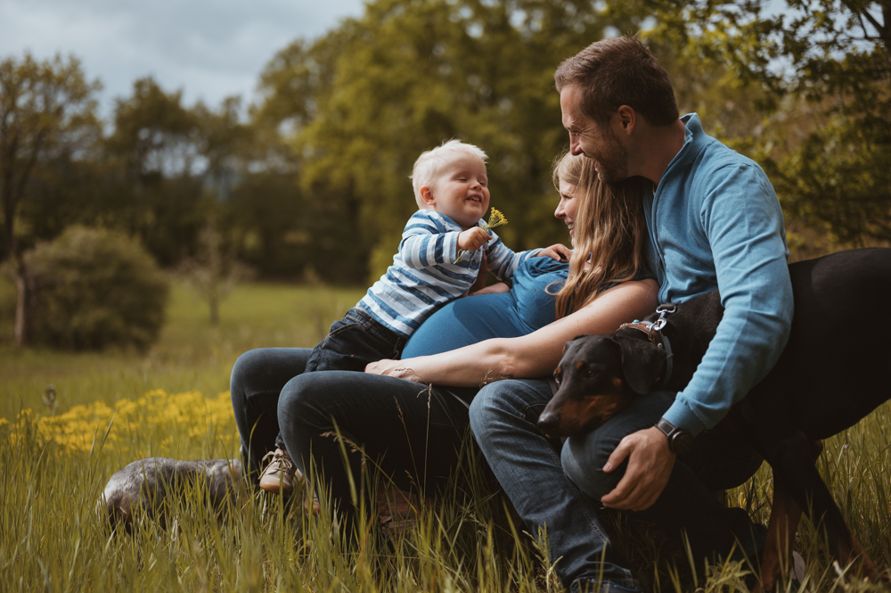 Familienshooting mit Kindern, Babybauch und Hunden in der Natur – MALEA Fotografie Darmstadt
