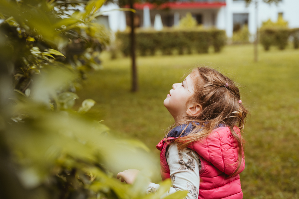 Kleines Mädchen in pinker Weste blickt verträumt nach oben in ein Blätterdach im Garten – Traumreise für Kinder